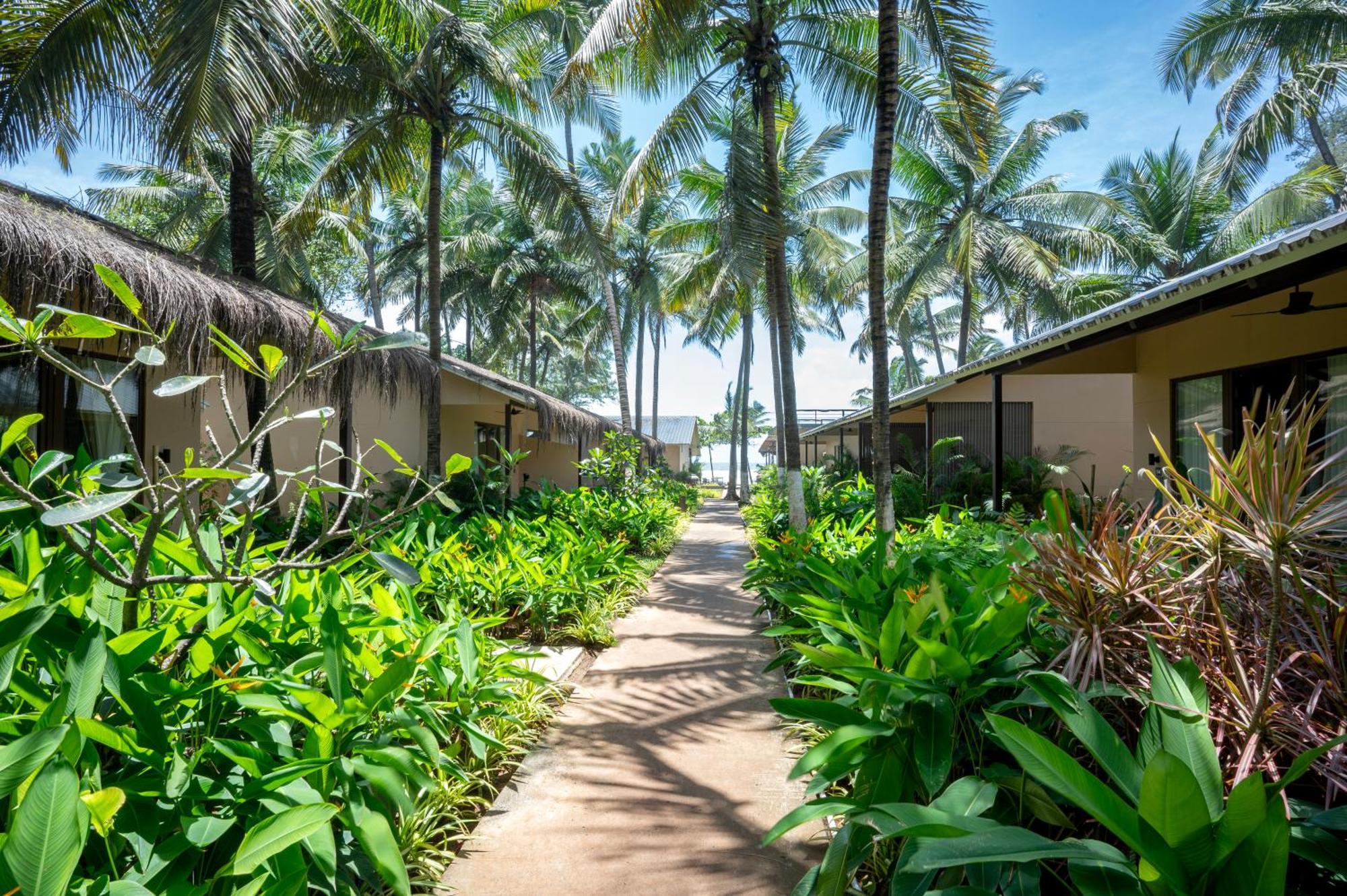 Palma Beach Resort Mandrem Exterior photo